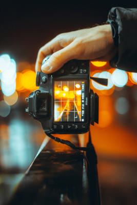Photo by Nagy David on Unsplash