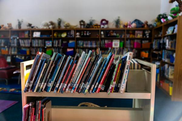 Madison County Library readies 2026 Summer Reading program
