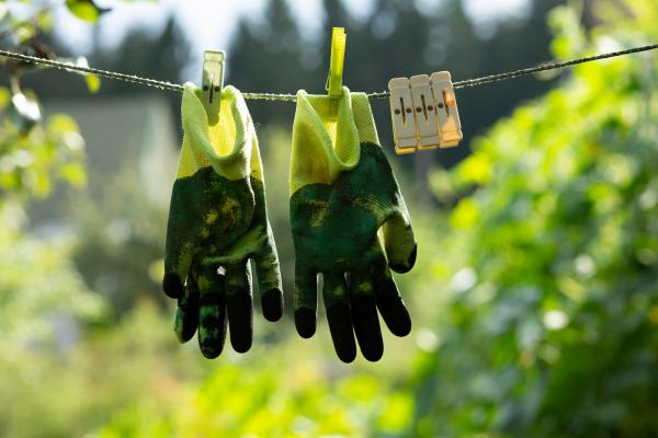 Master Gardeners series underway