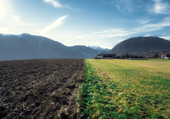 County retroactively allows land split