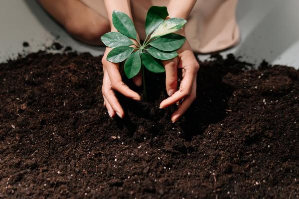 PVAMU program pays producers for soil health